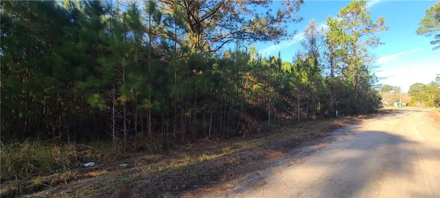 $29,900 | 100 White Dr N Drive East, Townsend, GA 31331