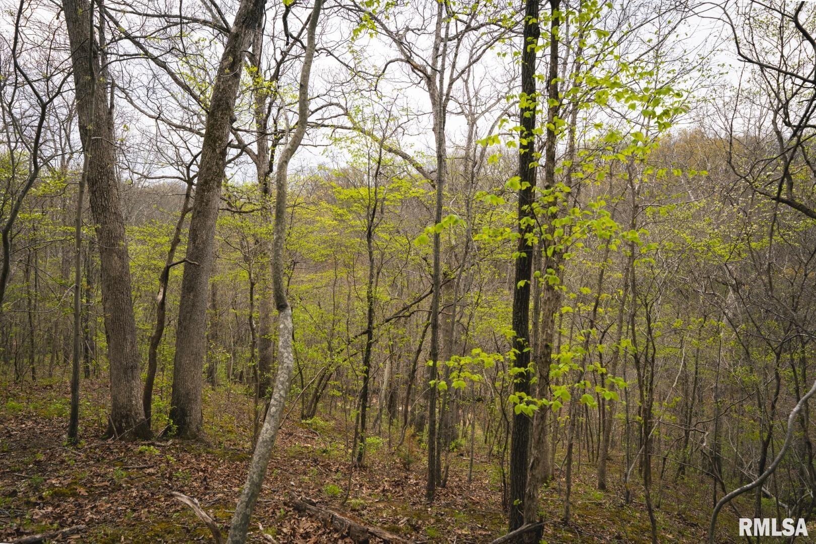 17157 Liberty Road Grafton, IL 62037 - Photo 37 of 50