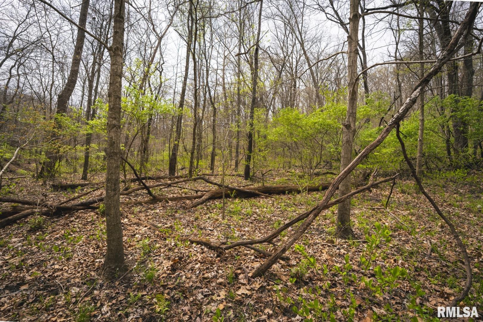 17157 Liberty Road Grafton, IL 62037 - Photo 41 of 50