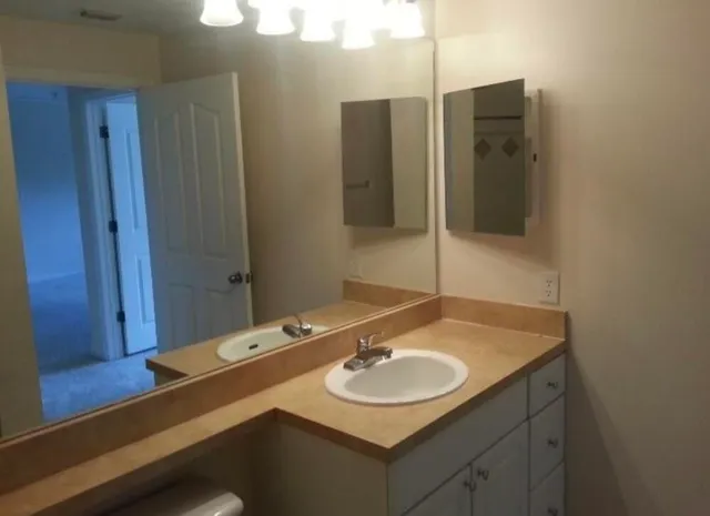 a bathroom with a sink and a mirror