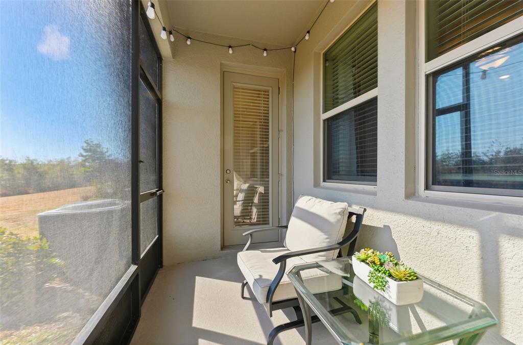 31607 Blue Passing Loop Wesley Chapel, FL 33545 - Photo 21 of 26