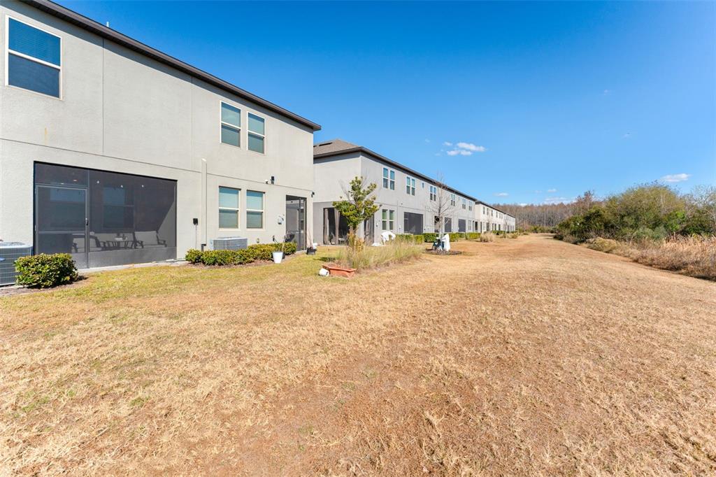 31607 Blue Passing Loop Wesley Chapel, FL 33545 - Photo 24 of 26