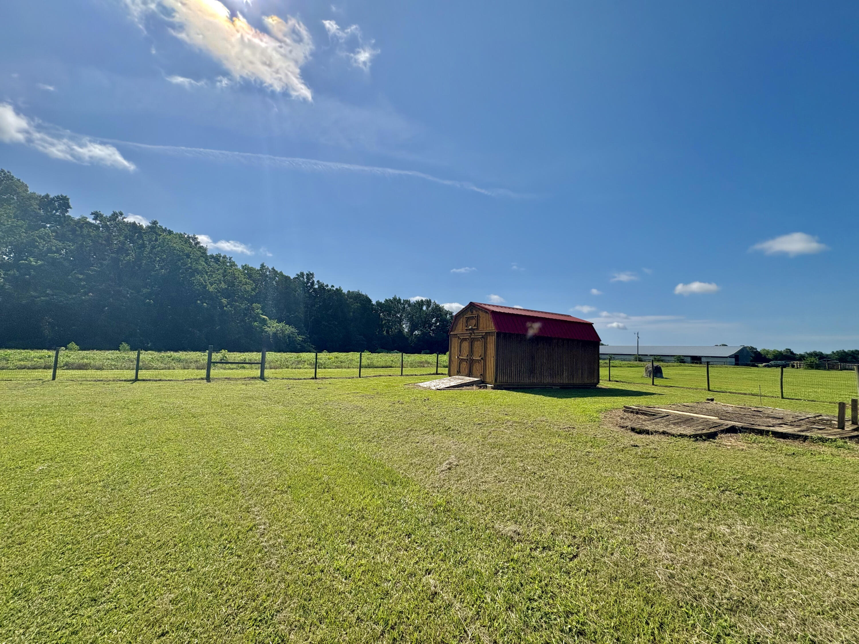 1646 Wells Road Summerton, SC 29148 - Photo 8 of 24 IMG_1173