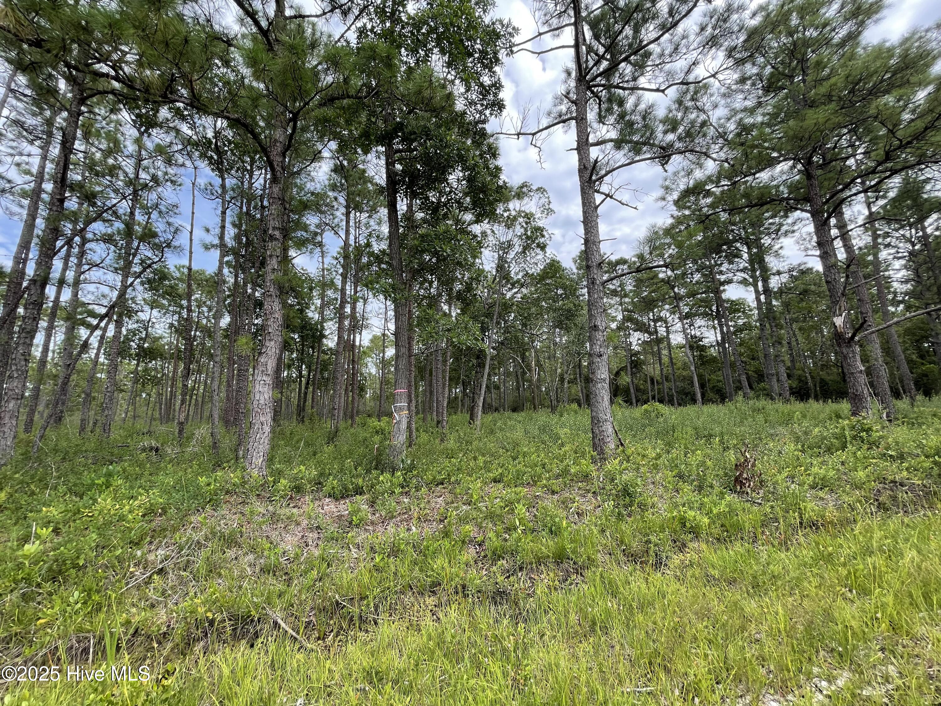 Photo Aug 28 2025, 3 13 47 PM