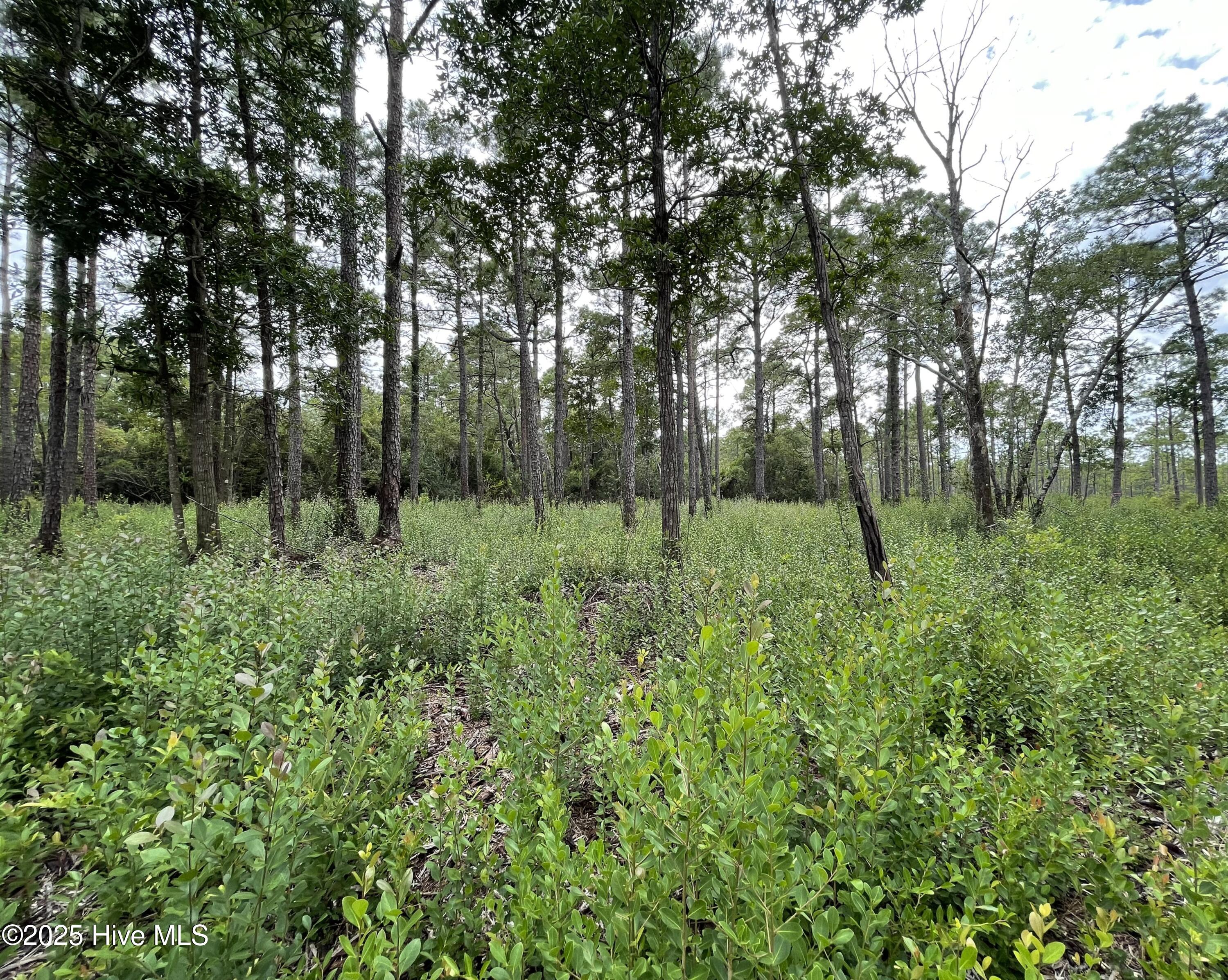 811 Brittany Road Southport, NC 28461 - Photo 11 of 25 Photo Aug 28 2025, 3 16 08 PM