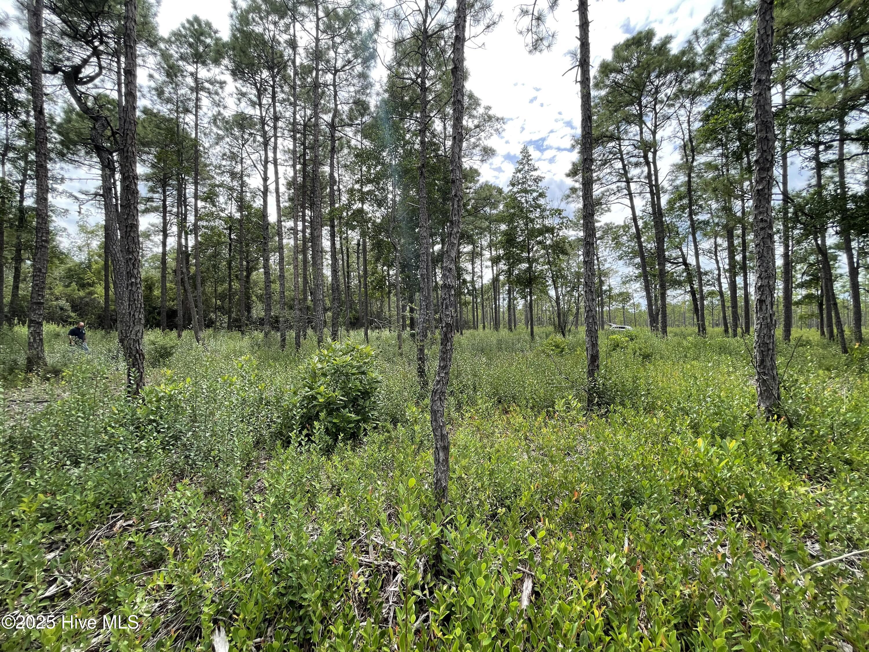 811 Brittany Road Southport, NC 28461 - Photo 12 of 25 Photo Aug 28 2025, 3 18 16 PM