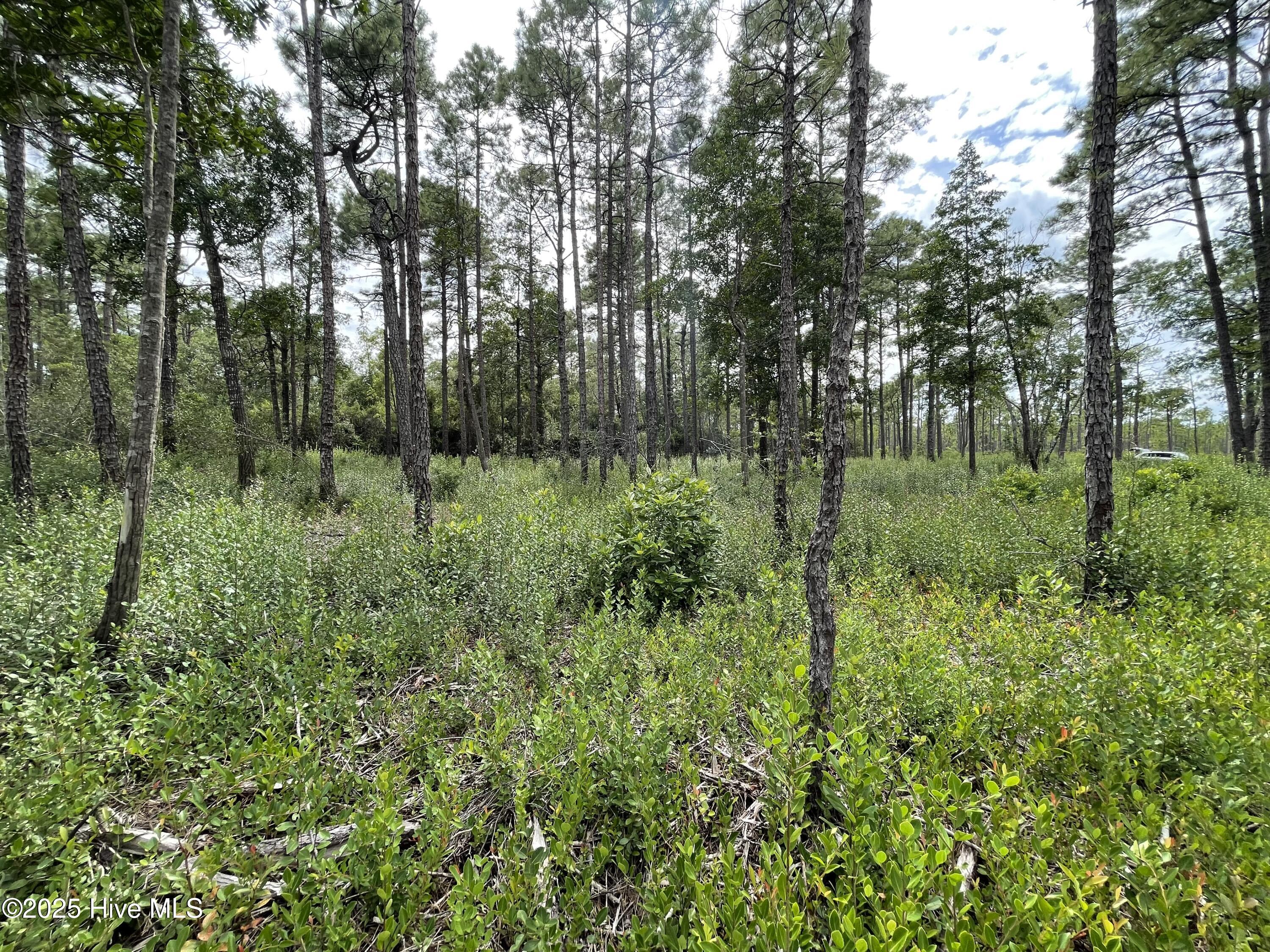 811 Brittany Road Southport, NC 28461 - Photo 13 of 25 Photo Aug 28 2025, 3 18 18 PM