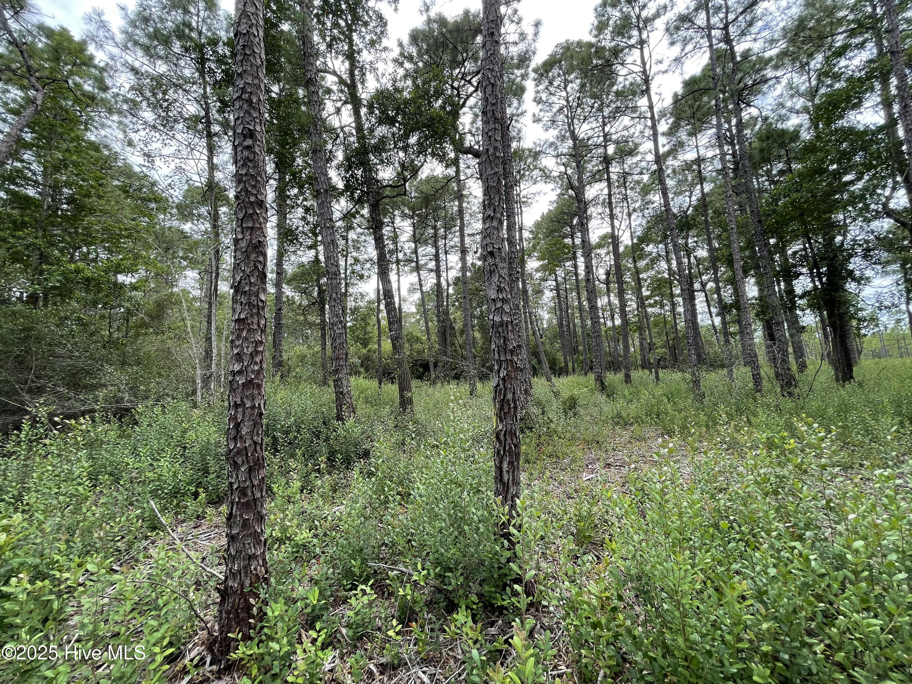 811 Brittany Road Southport, NC 28461 - Photo 16 of 25 Photo Aug 28 2025, 3 19 41 PM