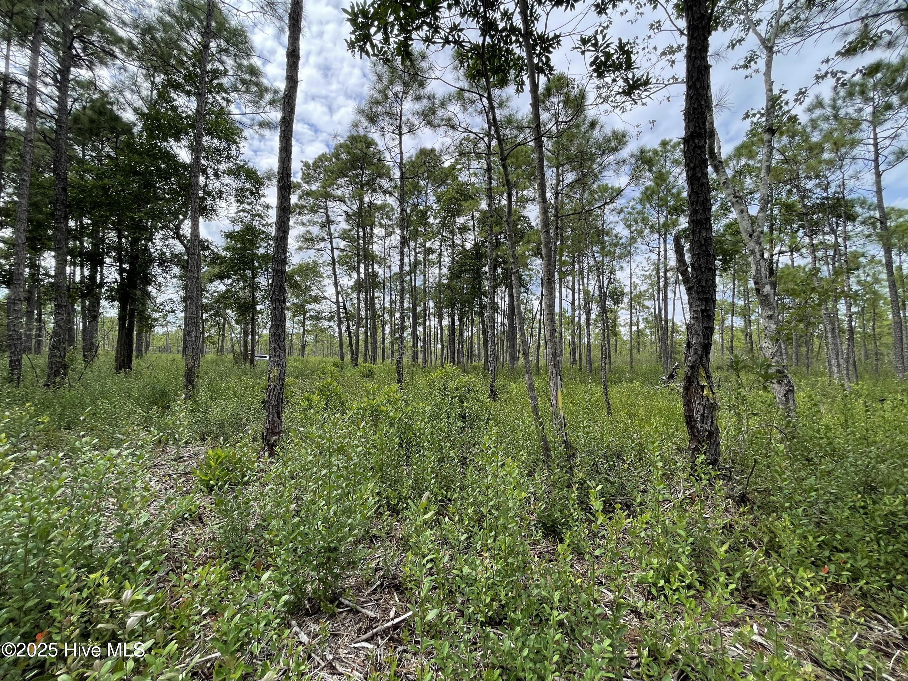 811 Brittany Road Southport, NC 28461 - Photo 18 of 25 Photo Aug 28 2025, 3 19 45 PM