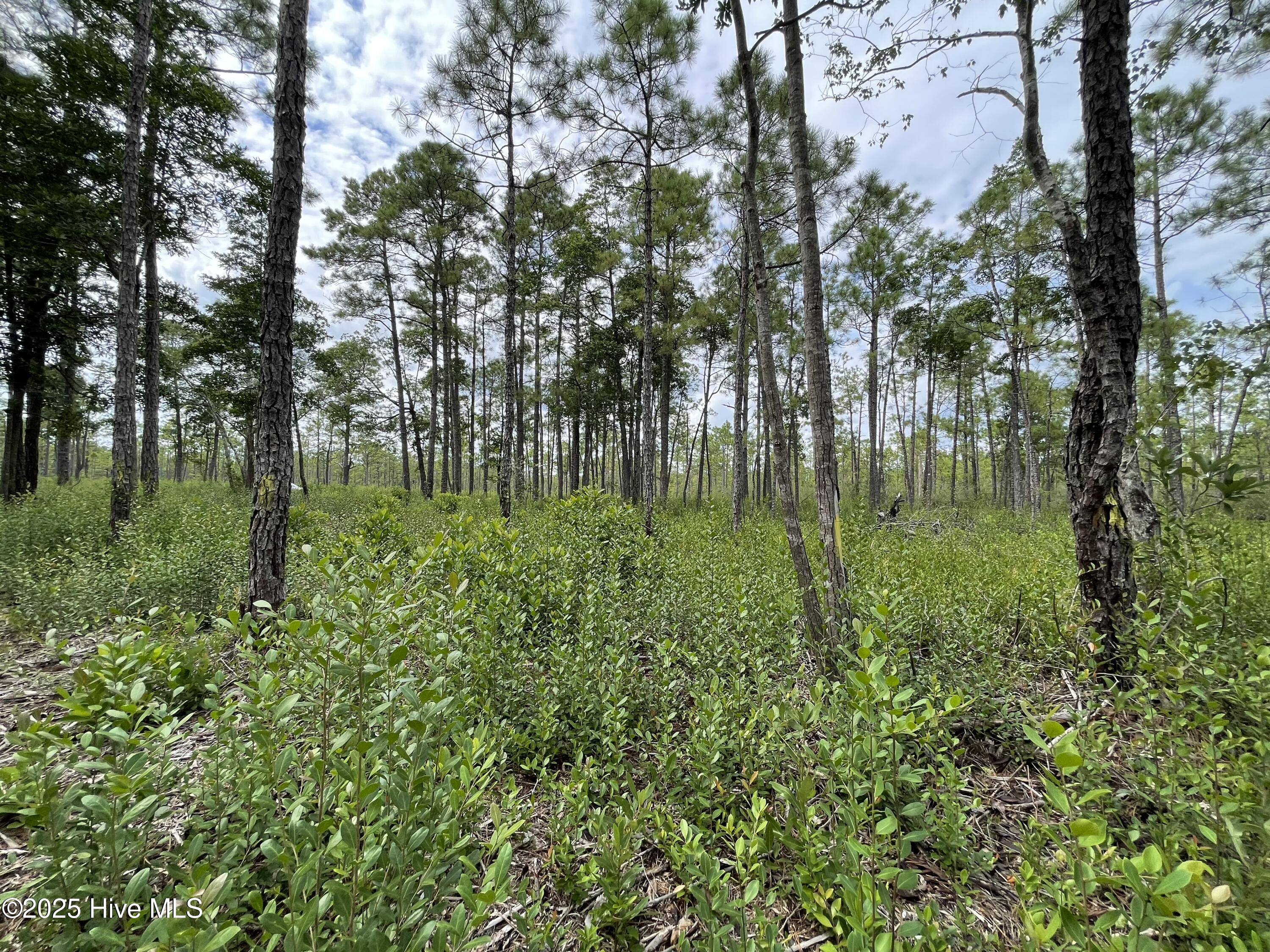 811 Brittany Road Southport, NC 28461 - Photo 20 of 25 Photo Aug 28 2025, 3 20 16 PM