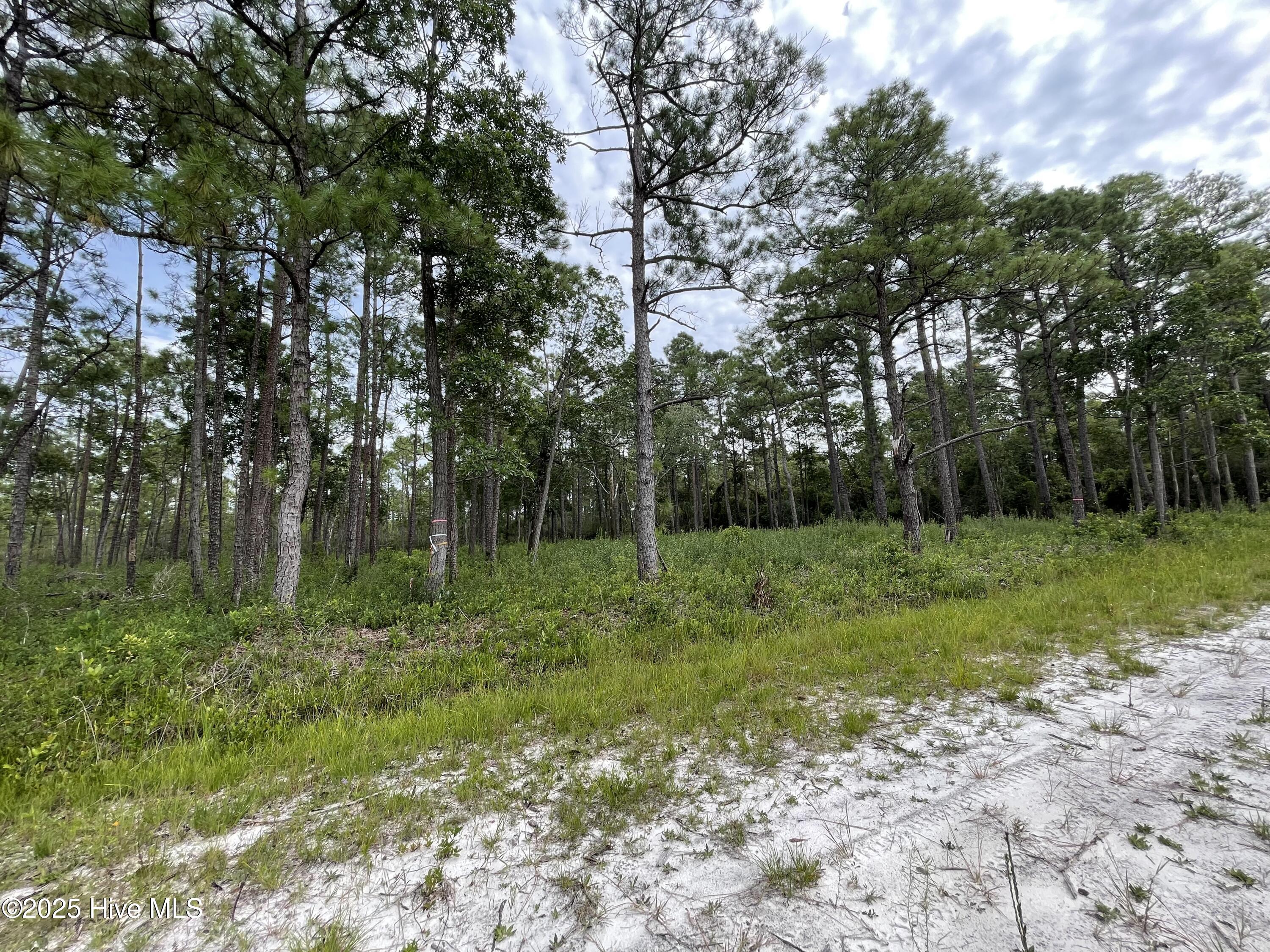 811 Brittany Road Southport, NC 28461 - Photo 2 of 25 Photo Aug 28 2025, 3 14 02 PM
