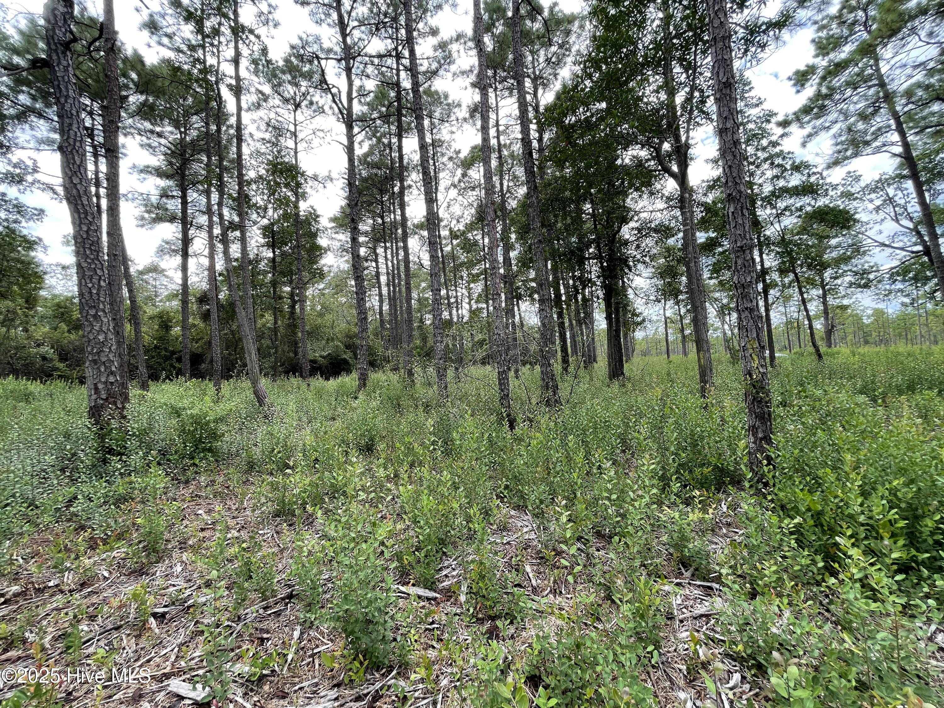 811 Brittany Road Southport, NC 28461 - Photo 21 of 25 Photo Aug 28 2025, 3 21 09 PM