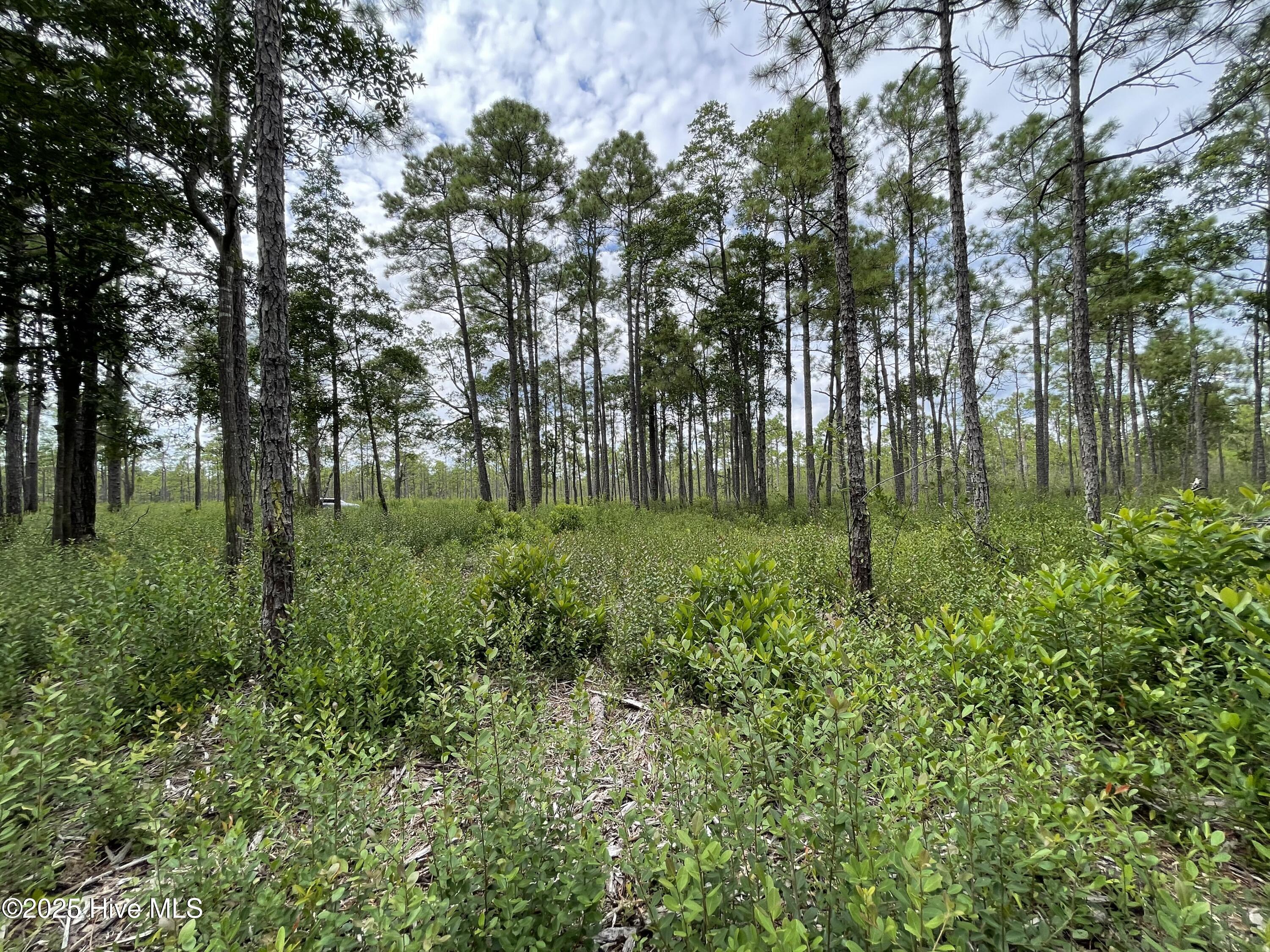 811 Brittany Road Southport, NC 28461 - Photo 22 of 25 Photo Aug 28 2025, 3 21 18 PM