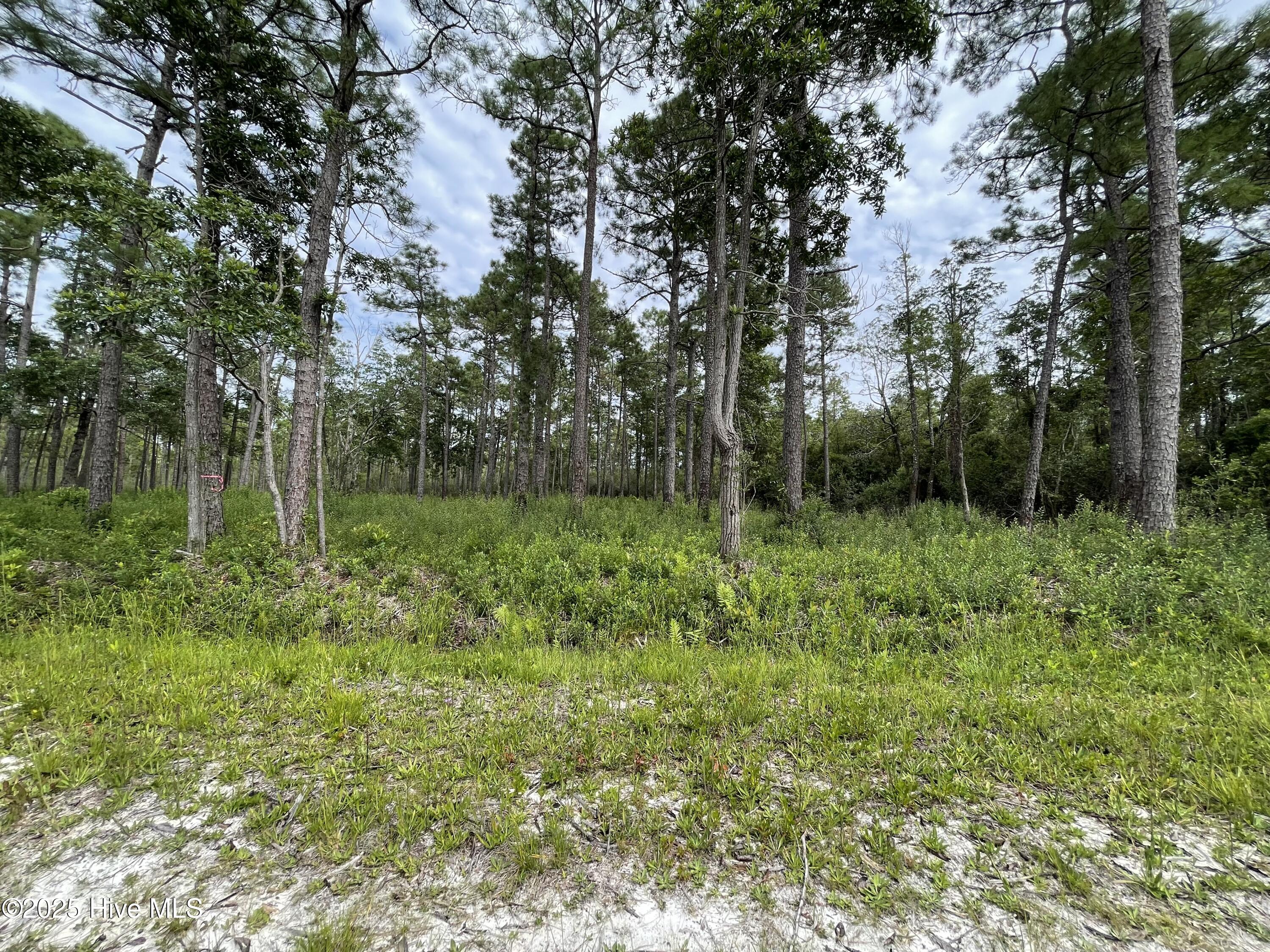 811 Brittany Road Southport, NC 28461 - Photo 23 of 25 Photo Aug 28 2025, 3 24 19 PM