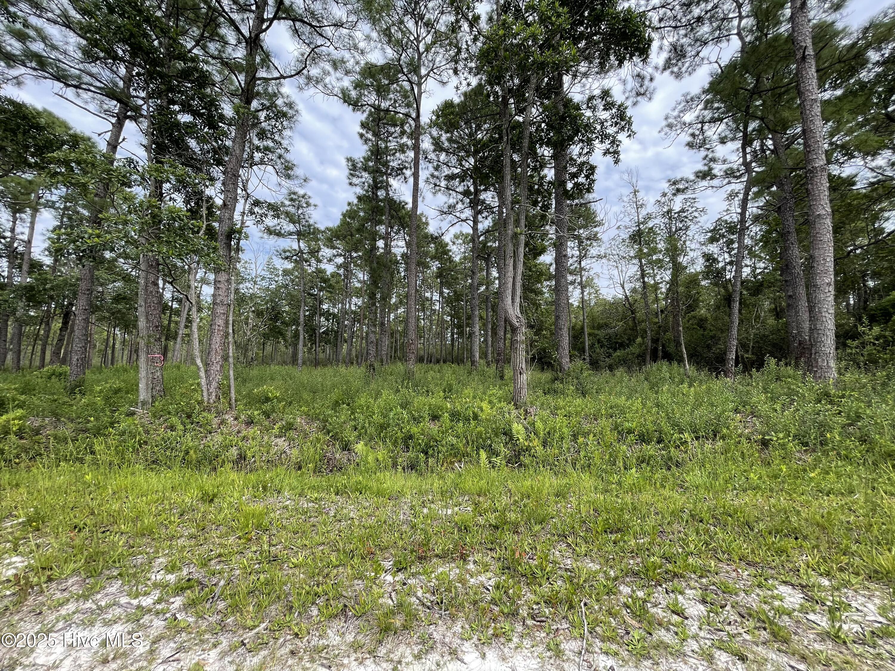 811 Brittany Road Southport, NC 28461 - Photo 25 of 25 Photo Aug 28 2025, 3 24 22 PM