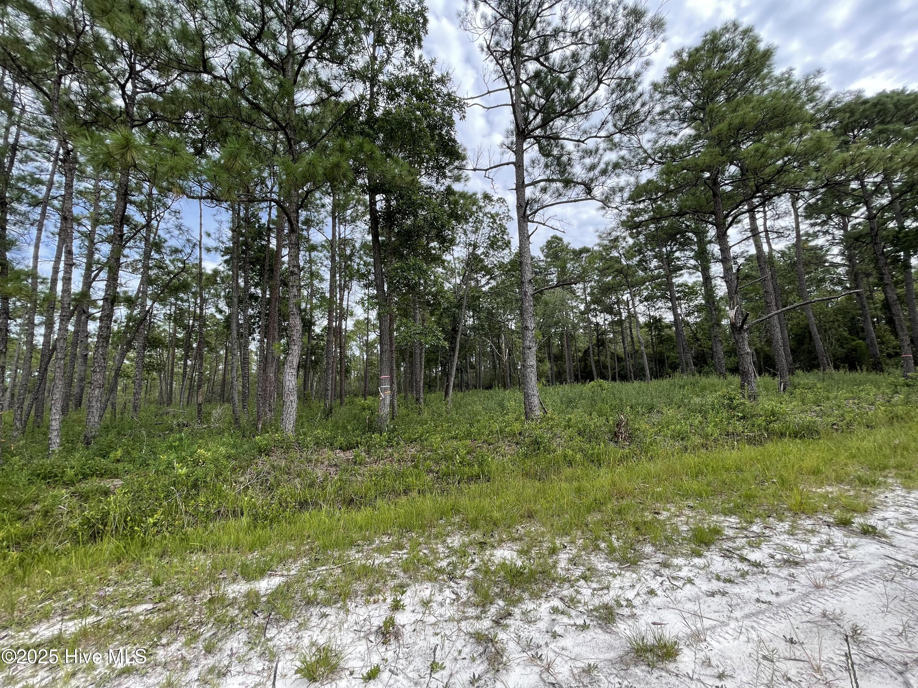 811 Brittany Road Southport, NC 28461 - Photo 3 of 25 Photo Aug 28 2025, 3 14 04 PM