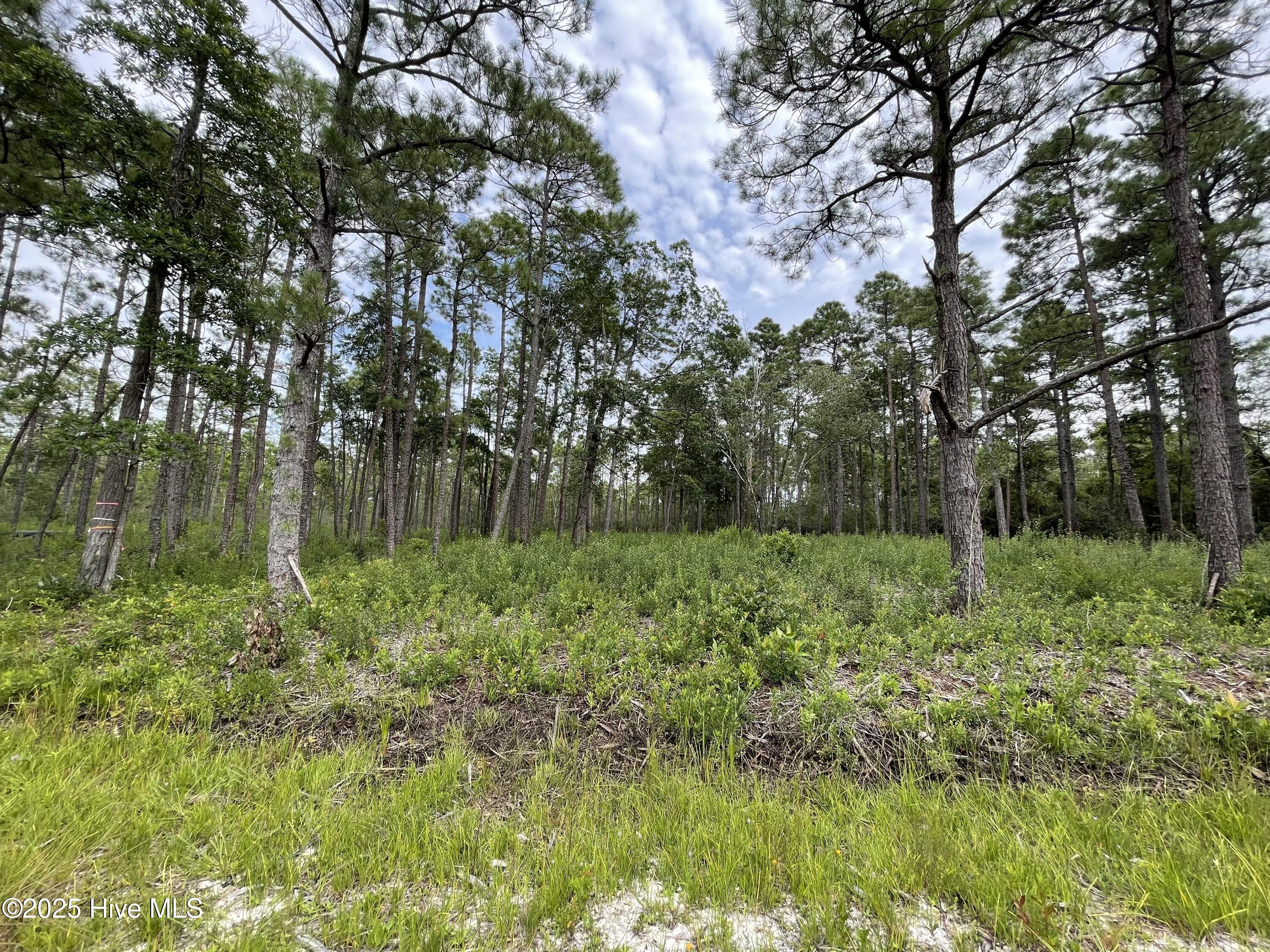 811 Brittany Road Southport, NC 28461 - Photo 4 of 25 Photo Aug 28 2025, 3 14 24 PM