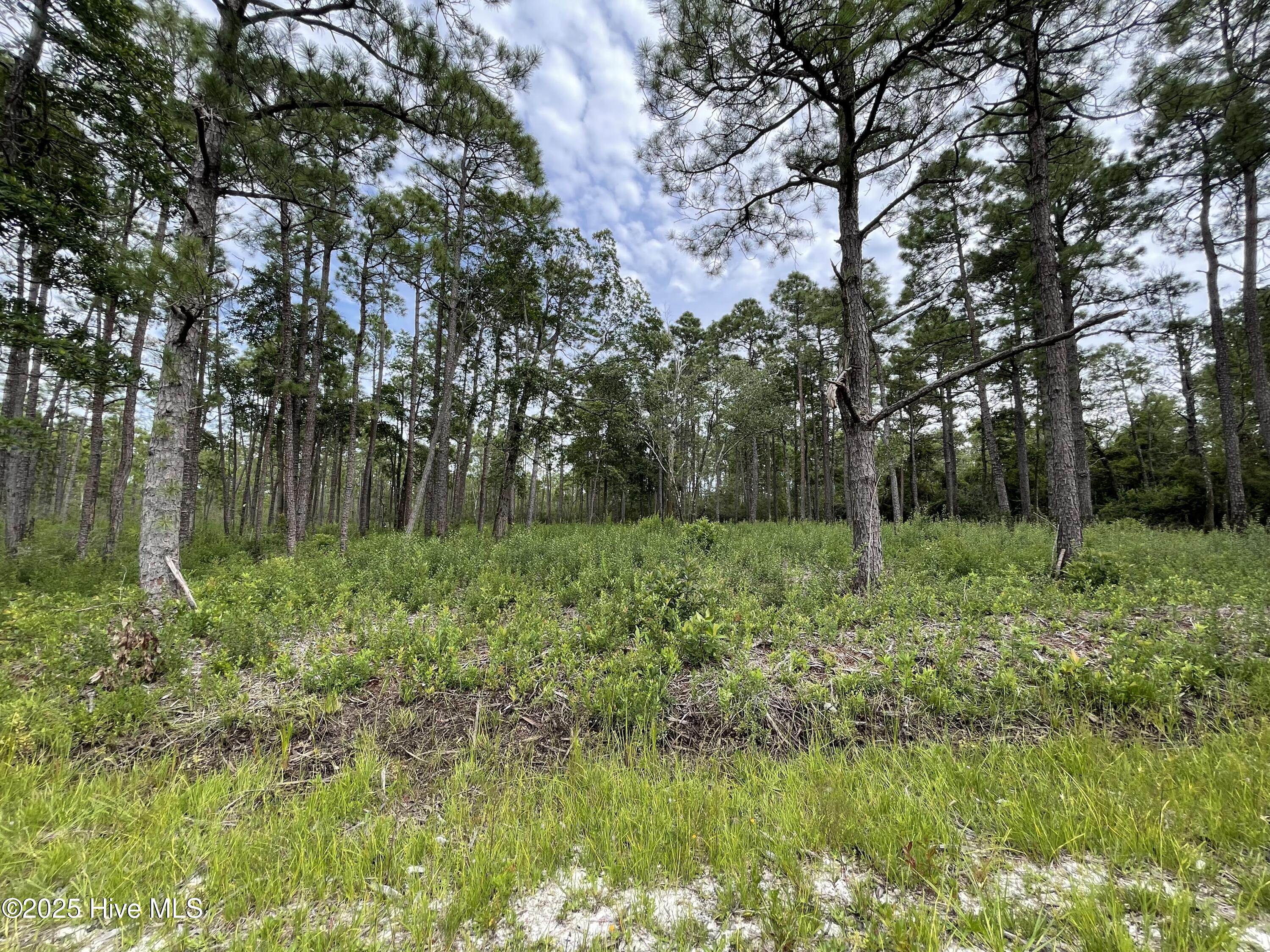 811 Brittany Road Southport, NC 28461 - Photo 6 of 25 Photo Aug 28 2025, 3 14 26 PM