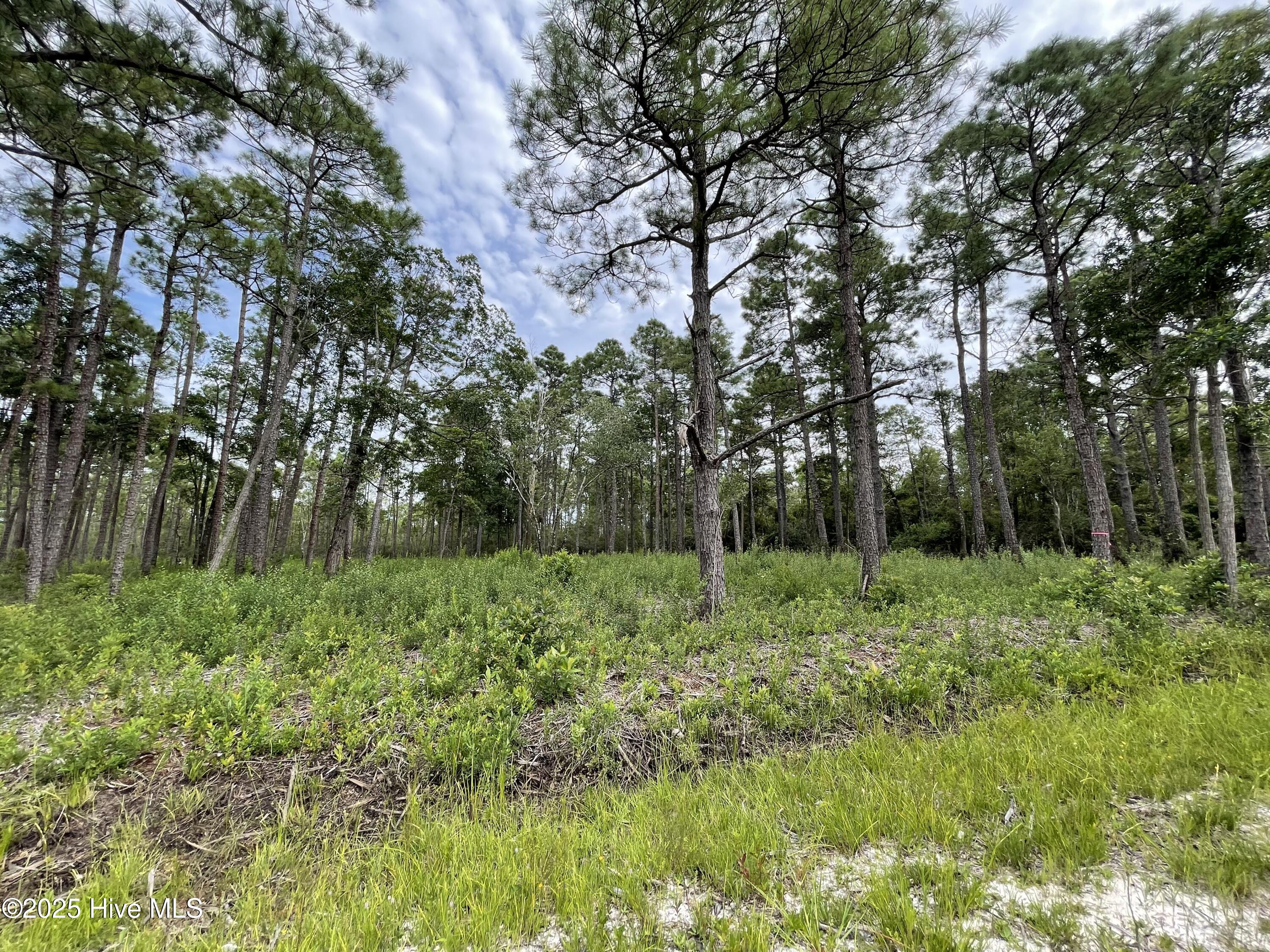 811 Brittany Road Southport, NC 28461 - Photo 7 of 25 Photo Aug 28 2025, 3 14 28 PM