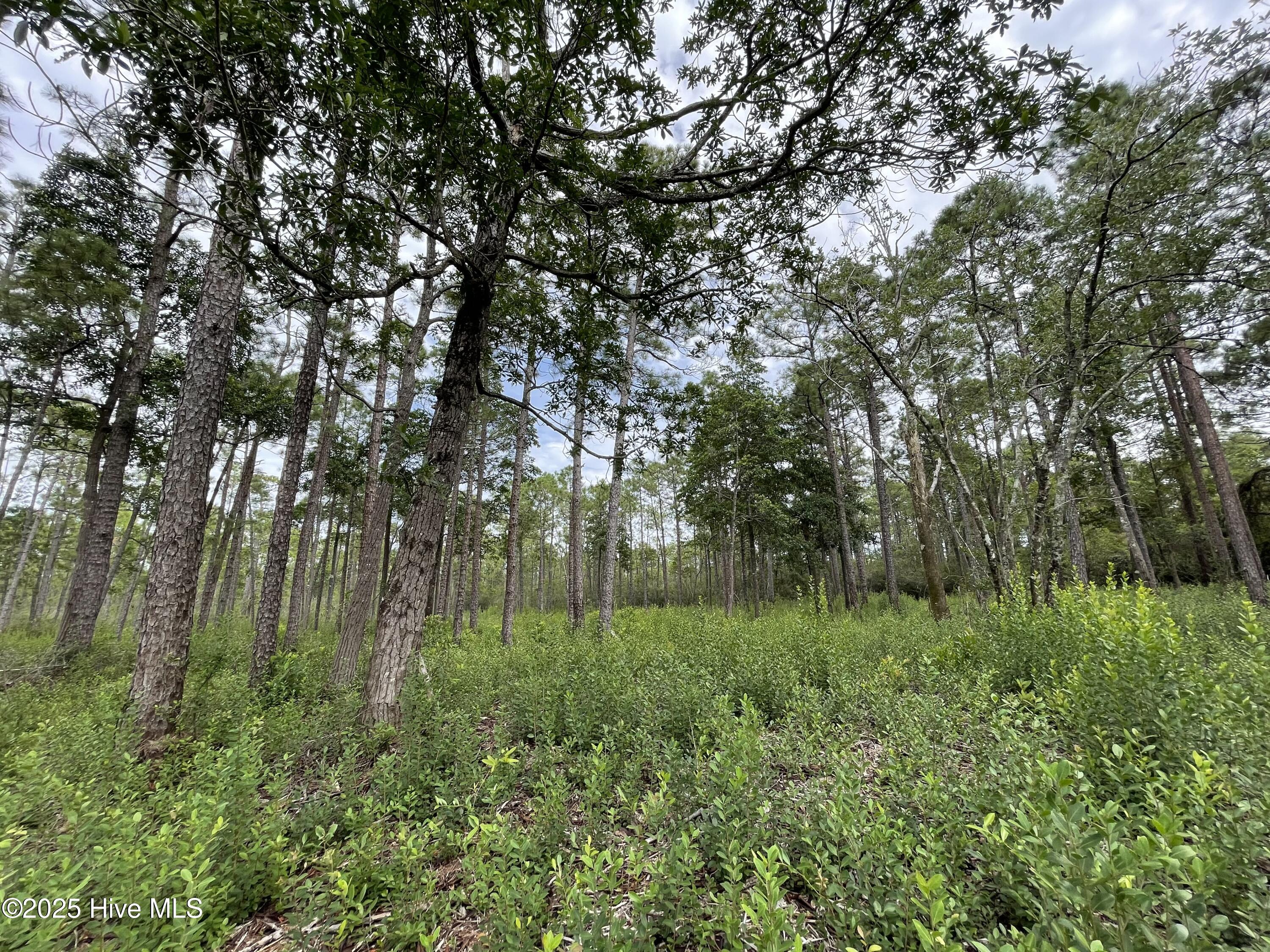811 Brittany Road Southport, NC 28461 - Photo 8 of 25 Photo Aug 28 2025, 3 15 10 PM