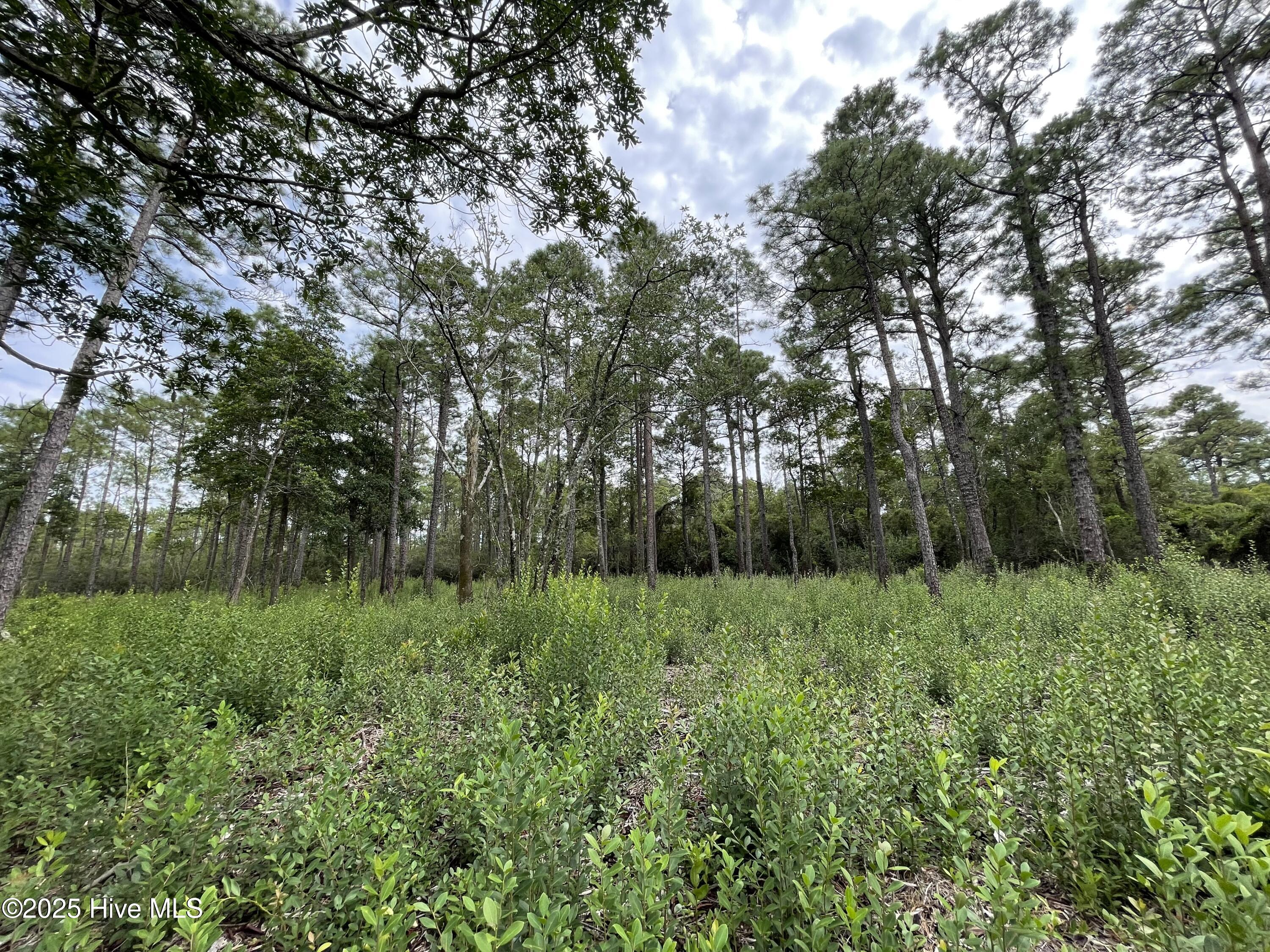 811 Brittany Road Southport, NC 28461 - Photo 9 of 25 Photo Aug 28 2025, 3 15 13 PM