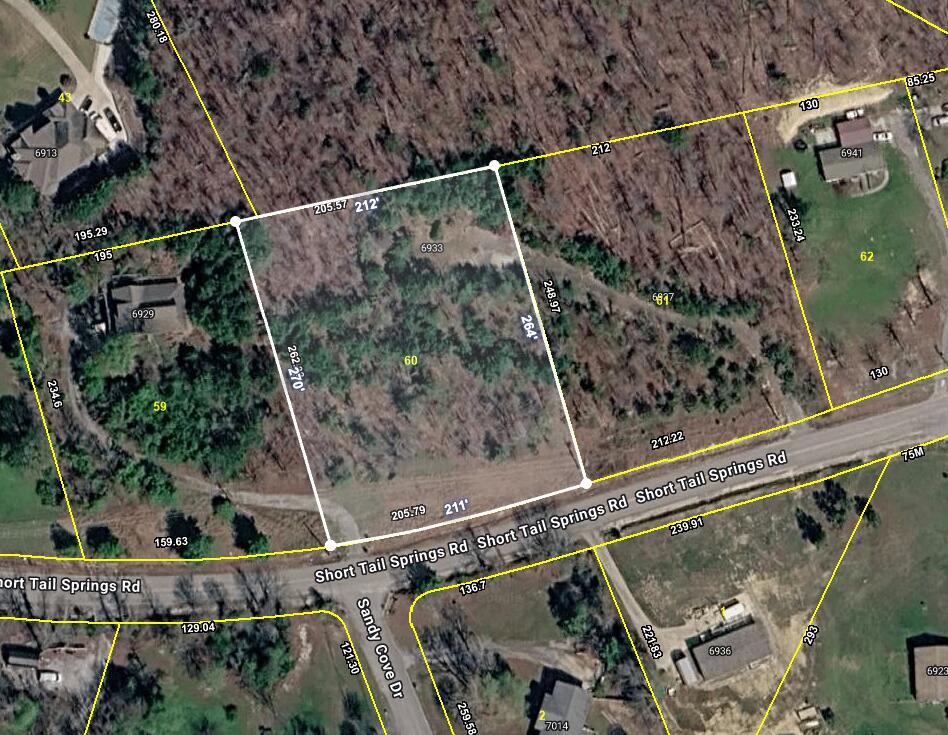 6937-6933 Short Tail Springs Road Harrison, TN 37341 - Photo 2 of 2 IMG_4543