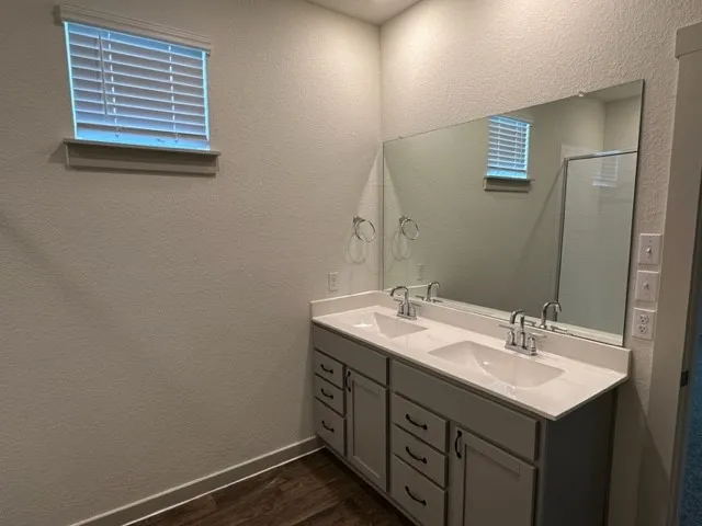 a bathroom with a sink and a mirror