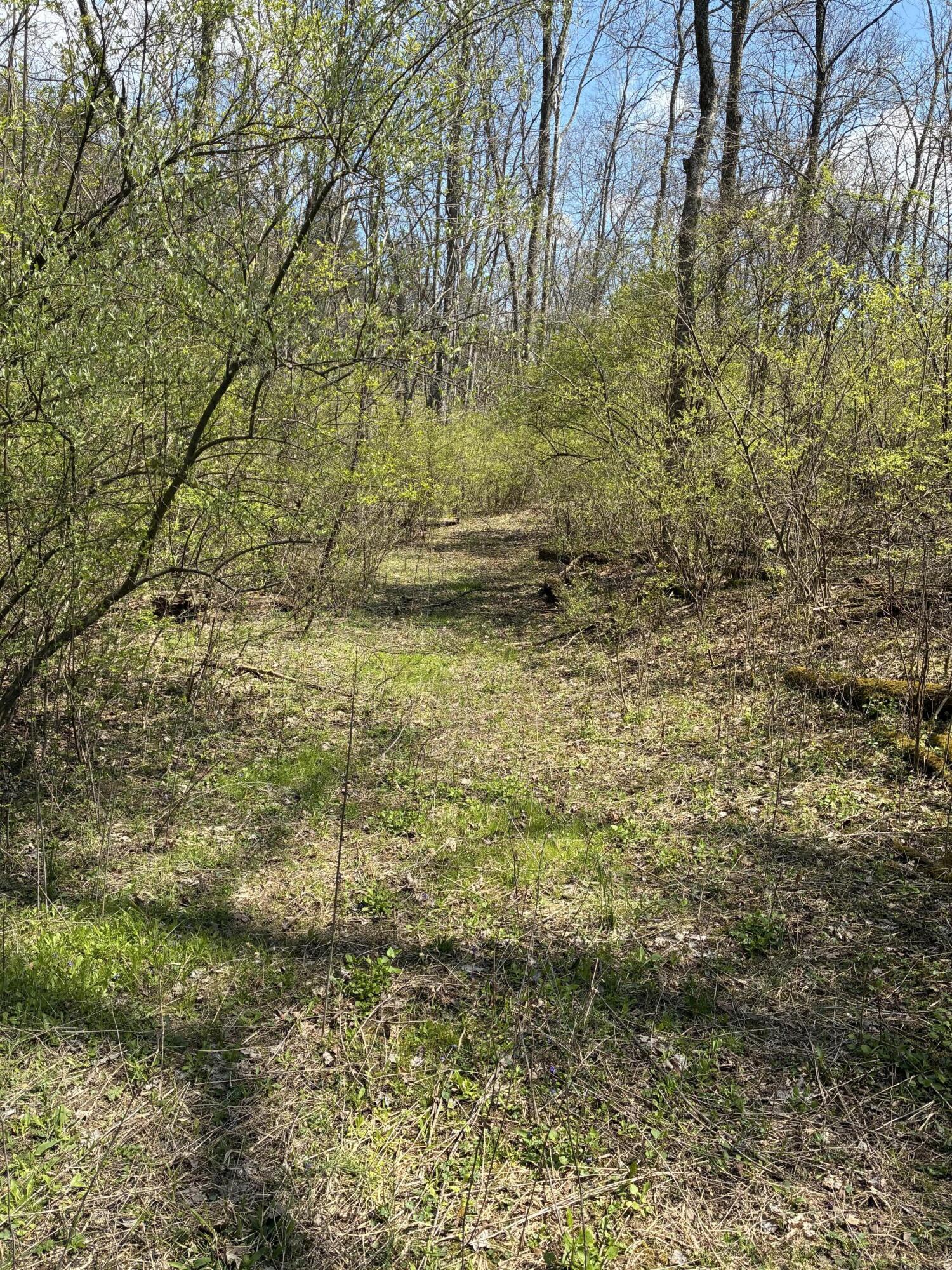 Acres Epperson Road Williamstown, KY 41097 - Photo 7 of 20 Gallery Image 7