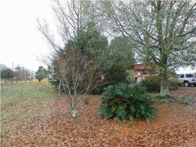 6181 Mitchell Road Walnut Hill, FL 32568 - Photo 10 of 10 Gallery Image 10