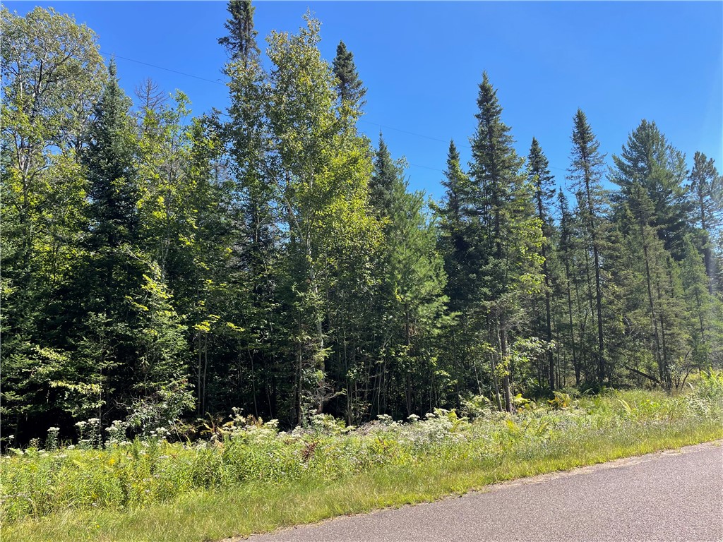 0 Frels Road Cable, WI 54821 - Photo 1 of 1 Gallery Image 1