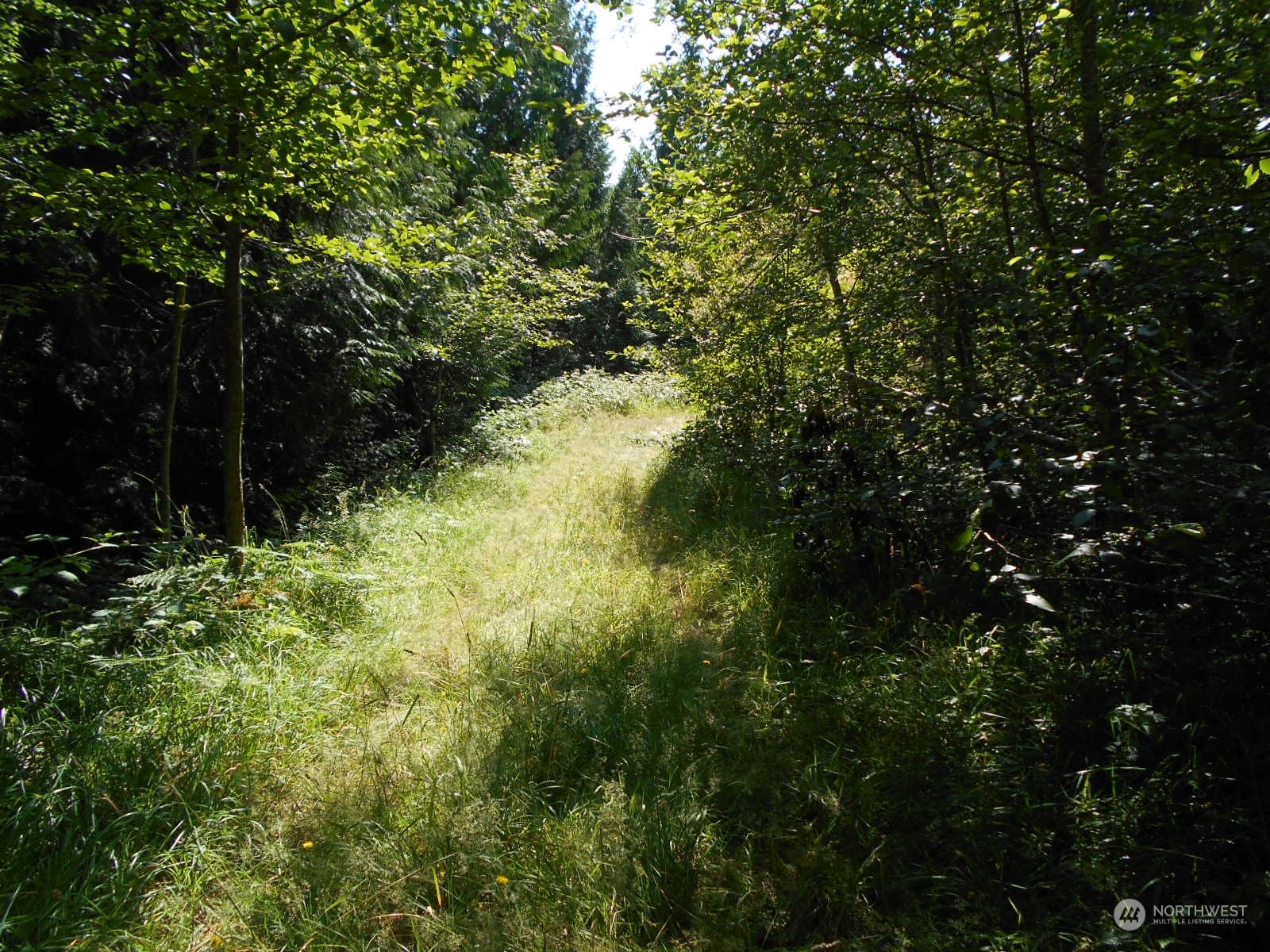 0 Yashi Road Brinnon, WA 98320 - Photo 11 of 38 a view of a garden