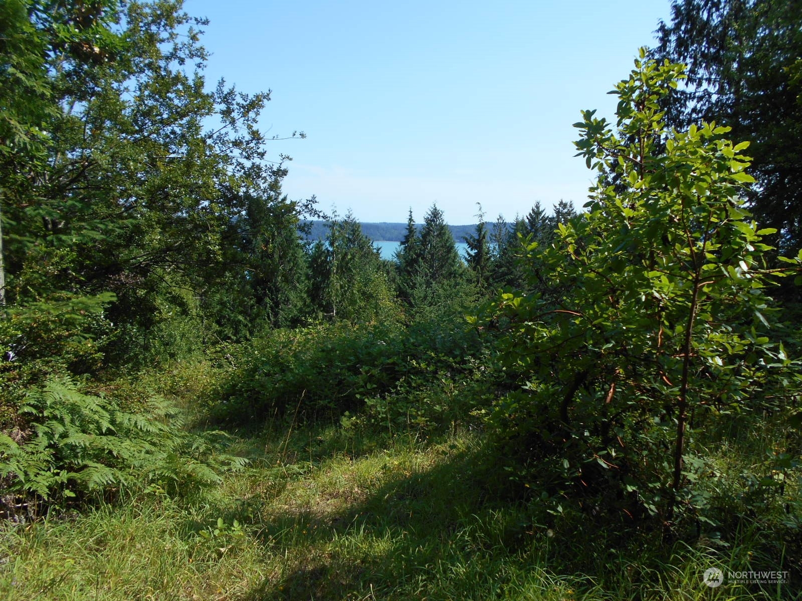 0 Yashi Road Brinnon, WA 98320 - Photo 13 of 38 an aerial view of residential house with outdoor space and trees all around
