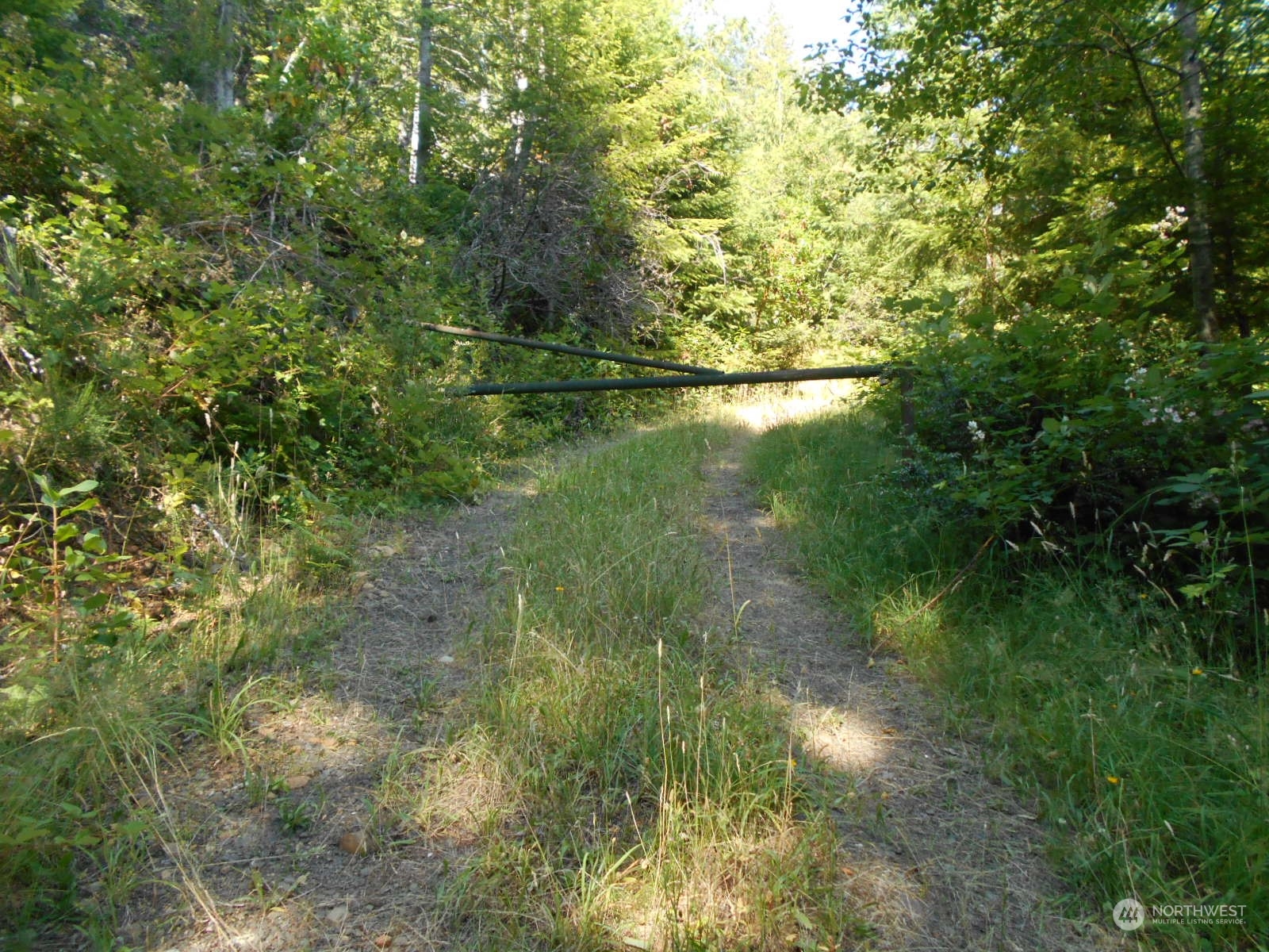 0 Yashi Road Brinnon, WA 98320 - Photo 16 of 38 a view of a garden