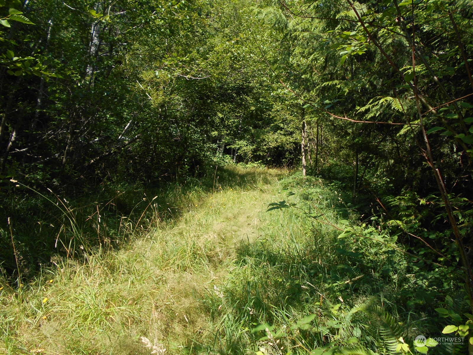 0 Yashi Road Brinnon, WA 98320 - Photo 18 of 38