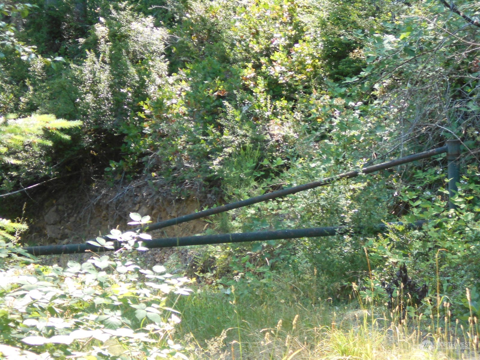 0 Yashi Road Brinnon, WA 98320 - Photo 24 of 38 a view of a yard