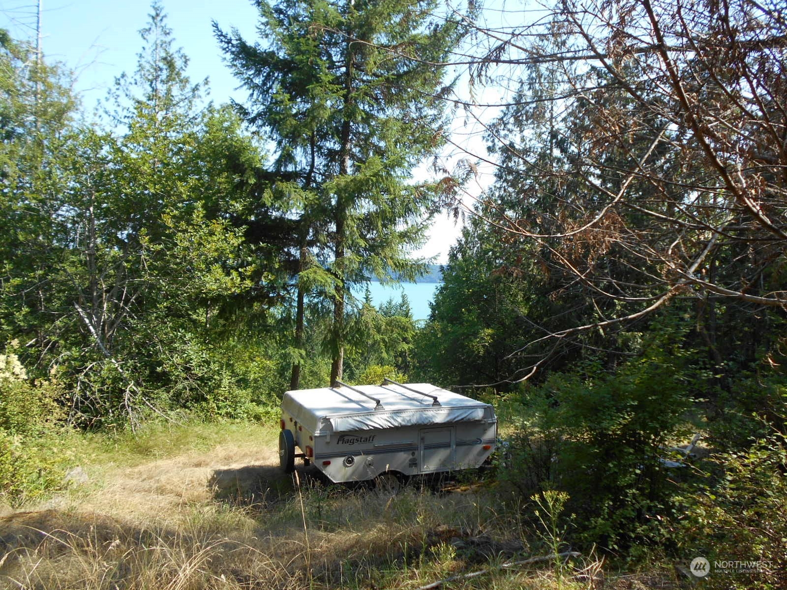 0 Yashi Road Brinnon, WA 98320 - Photo 27 of 38 a view of a backyard with swimming pool