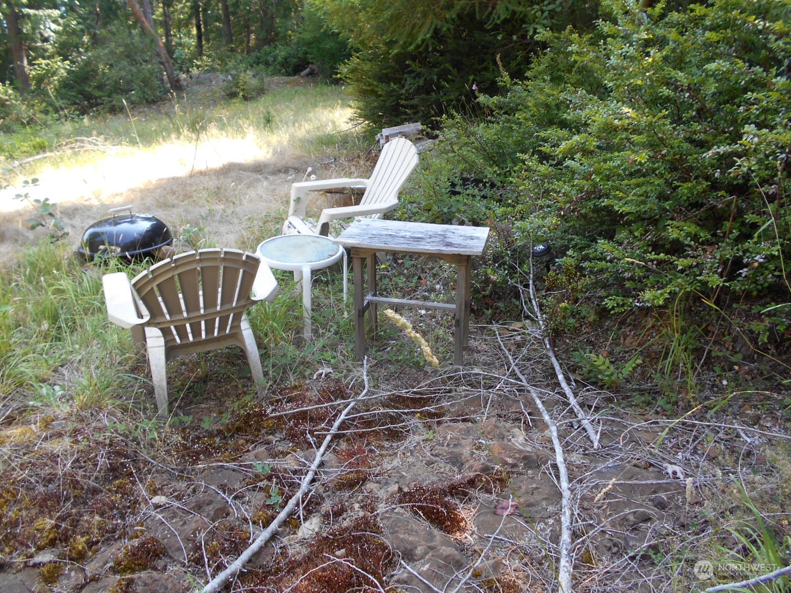 0 Yashi Road Brinnon, WA 98320 - Photo 31 of 38 a backyard of a house with table and chairs