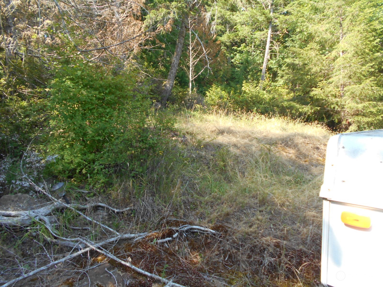 0 Yashi Road Brinnon, WA 98320 - Photo 33 of 38 a view of a yard