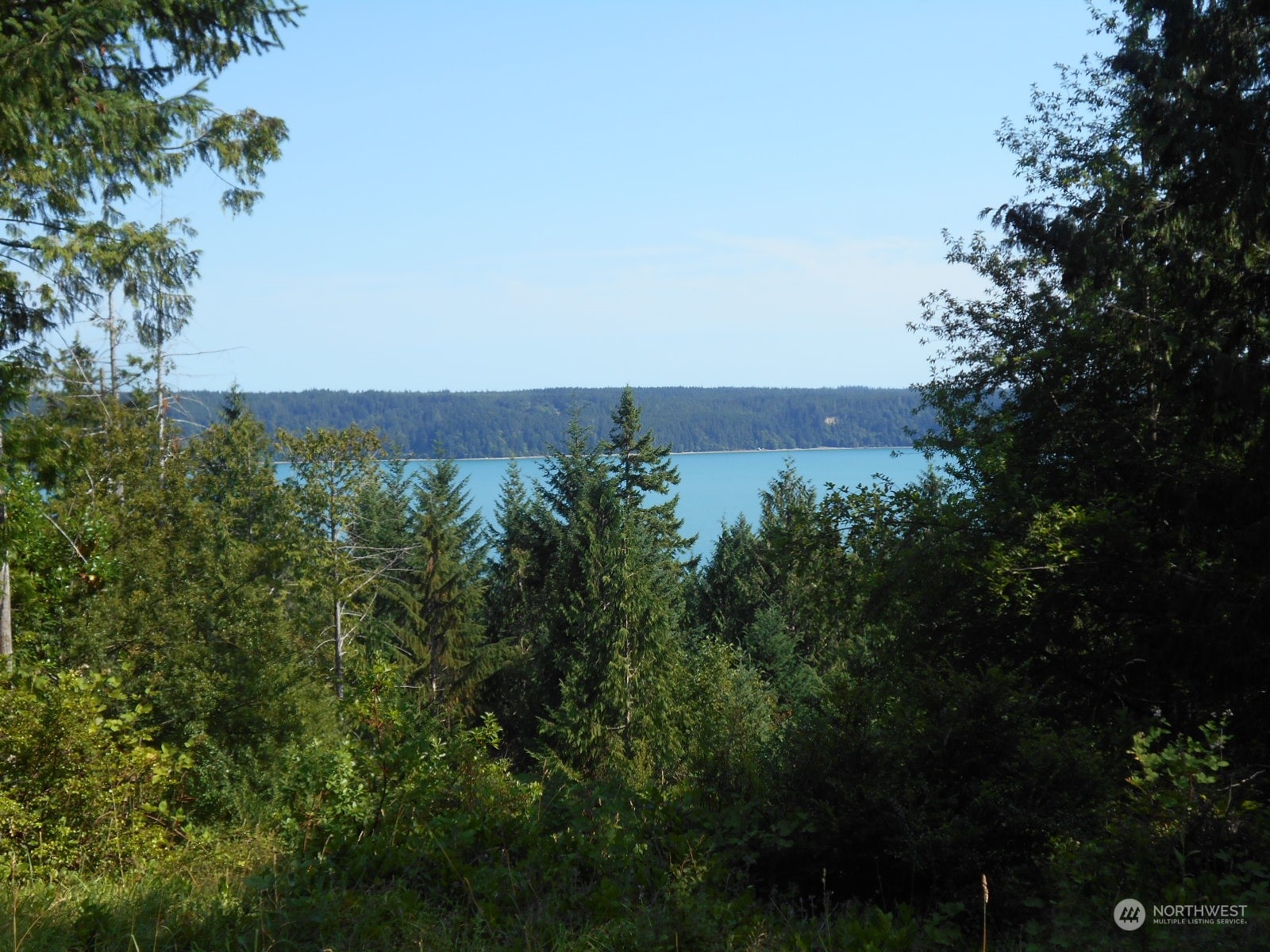 0 Yashi Road Brinnon, WA 98320 - Photo 35 of 38 an aerial view of a house with a yard