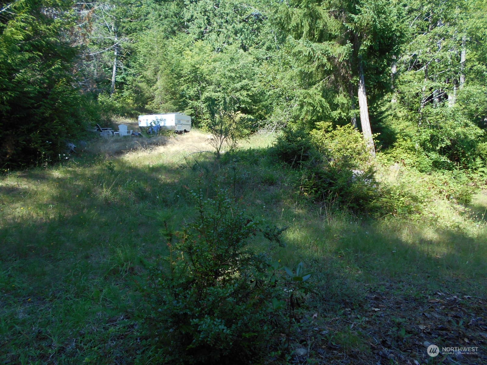 0 Yashi Road Brinnon, WA 98320 - Photo 38 of 38 a view of a forest with a lake