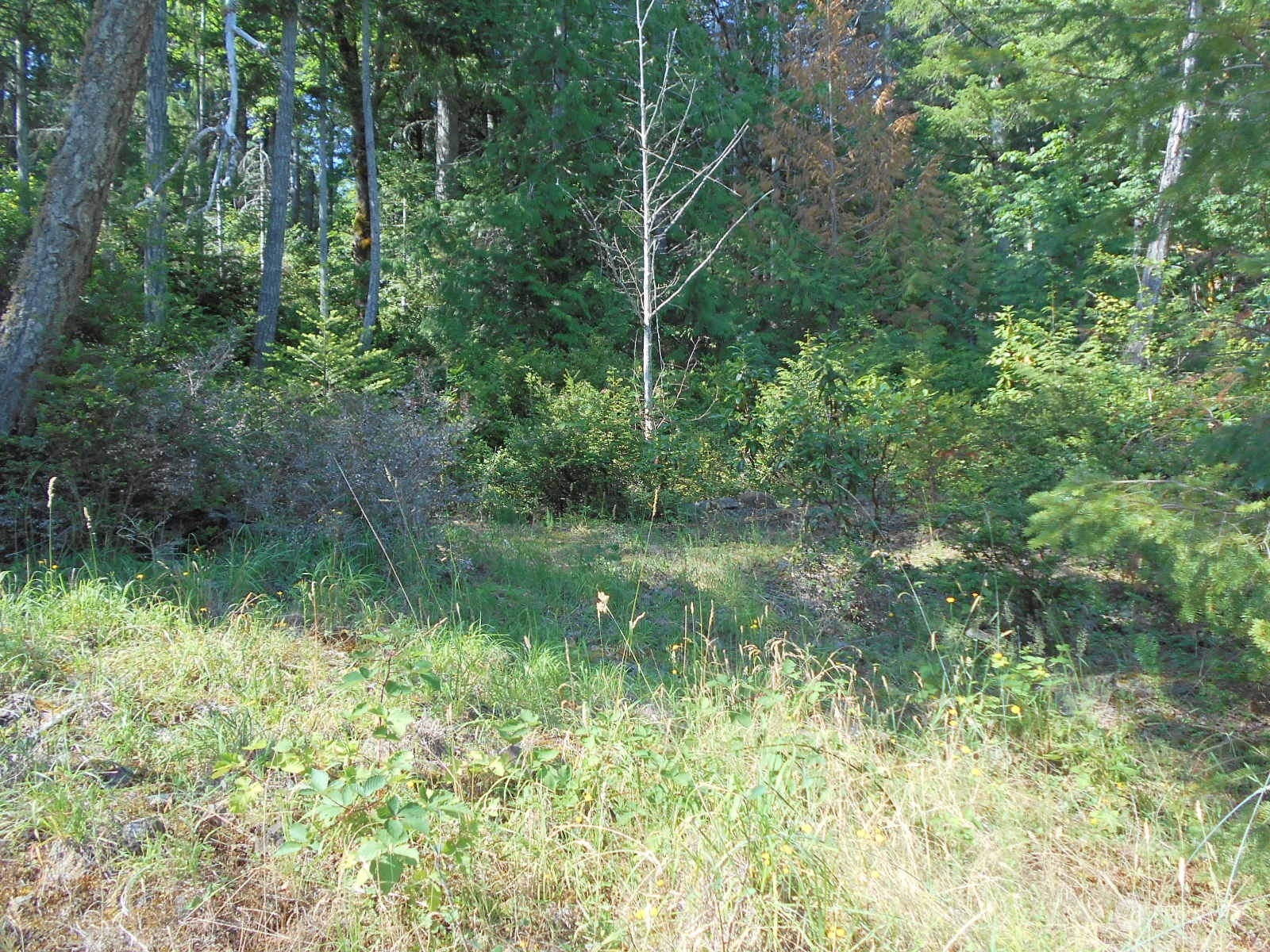 0 Yashi Road Brinnon, WA 98320 - Photo 5 of 38 a view of a lake view with green space