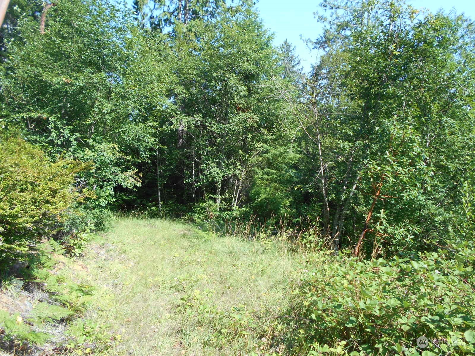 0 Yashi Road Brinnon, WA 98320 - Photo 10 of 38 a view of outdoor space and green space