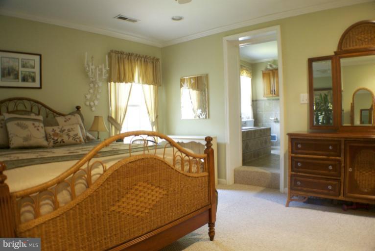 7926 Bainbridge Road Alexandria, VA 22308 - Photo 14 of 20 Large Master has Step Up to Spa-Like Bathroom