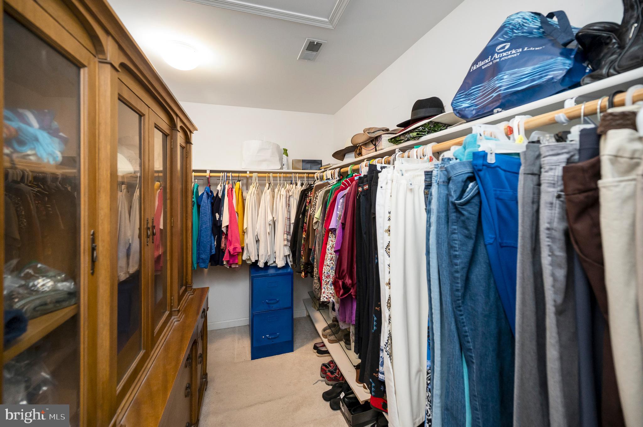 102 Flat Run Locust Grove, VA 22508 - Photo 22 of 60 One of two primary walk- in closets