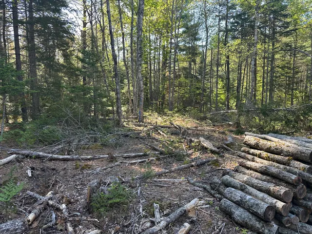 $59,000 | 61 Gerards Trail, Blue Hill, ME 04614