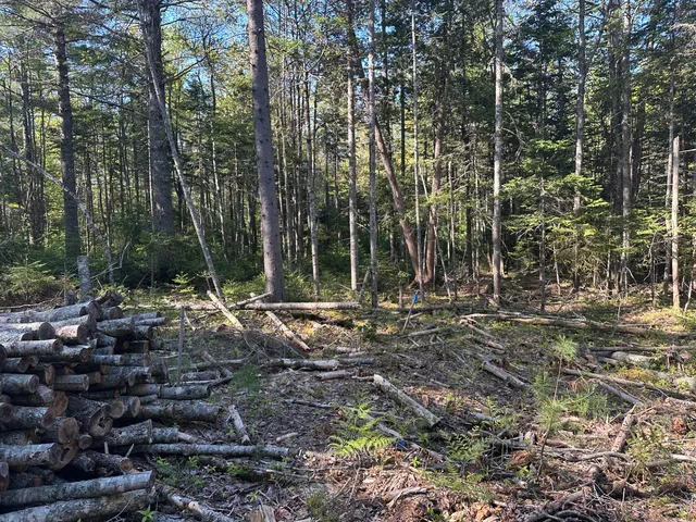 $59,000 | 61 Gerards Trail, Blue Hill, ME 04614