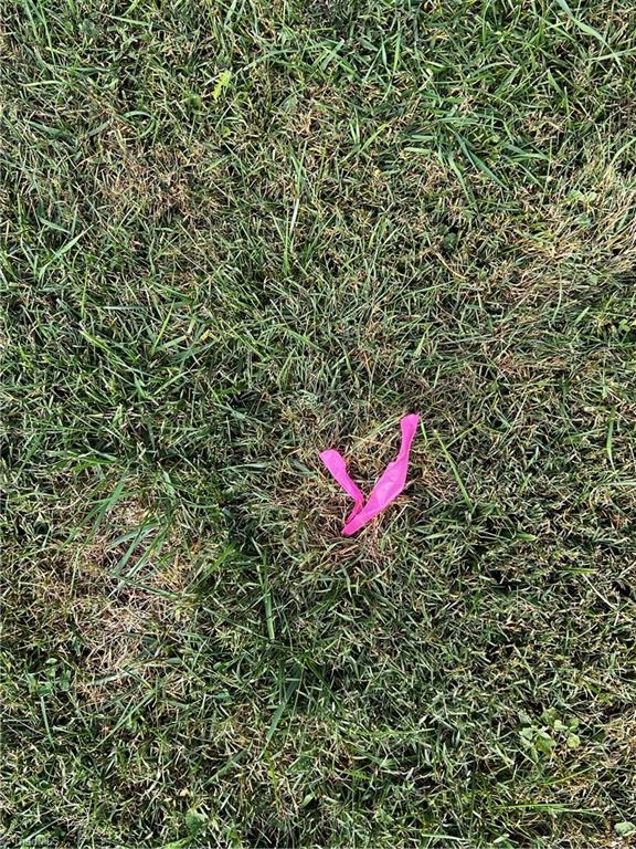 Tbd Spring Valley Road Fries, VA 24330 - Photo 8 of 15