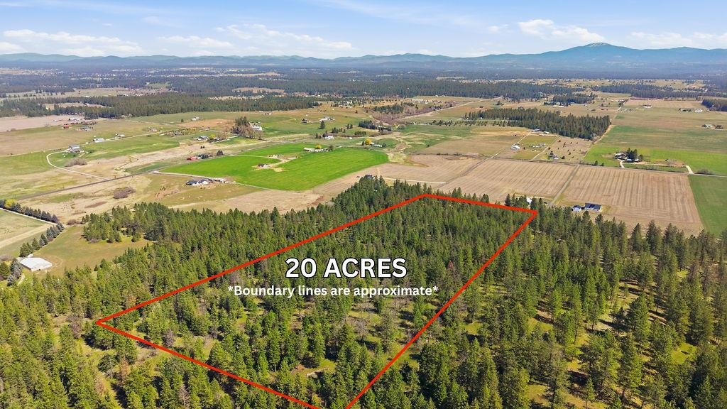 26435 North Spotted Road Deer Park, WA 99006 - Photo 48 of 49