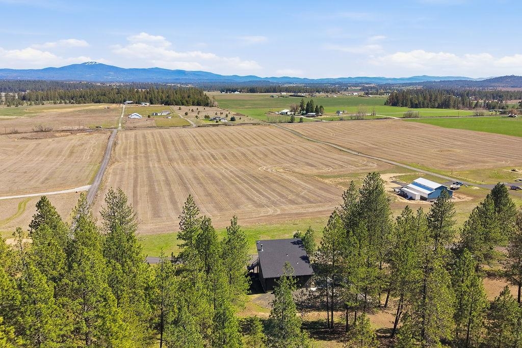 26435 North Spotted Road Deer Park, WA 99006 - Photo 6 of 49