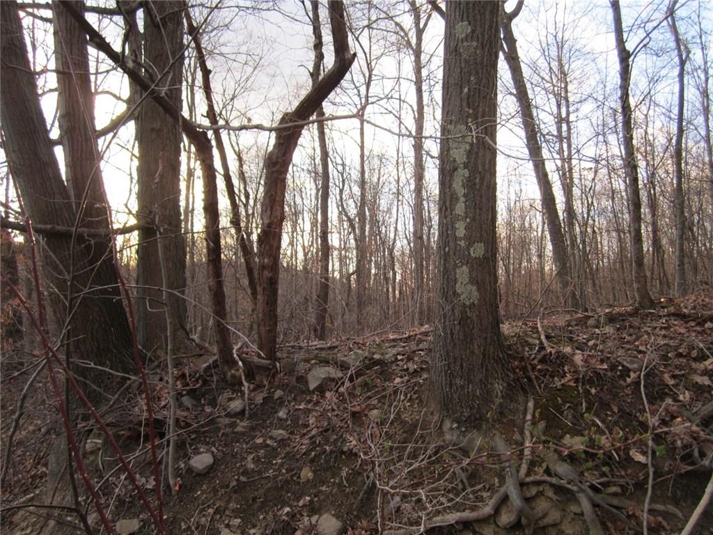 600 Graham Road Kittanning, PA 16201 - Photo 3 of 13